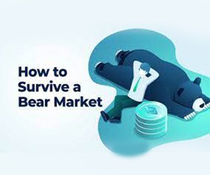 Survive Bear Market